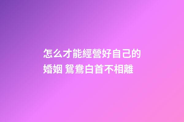 怎么才能經營好自己的婚姻 鴛鴦白首不相離